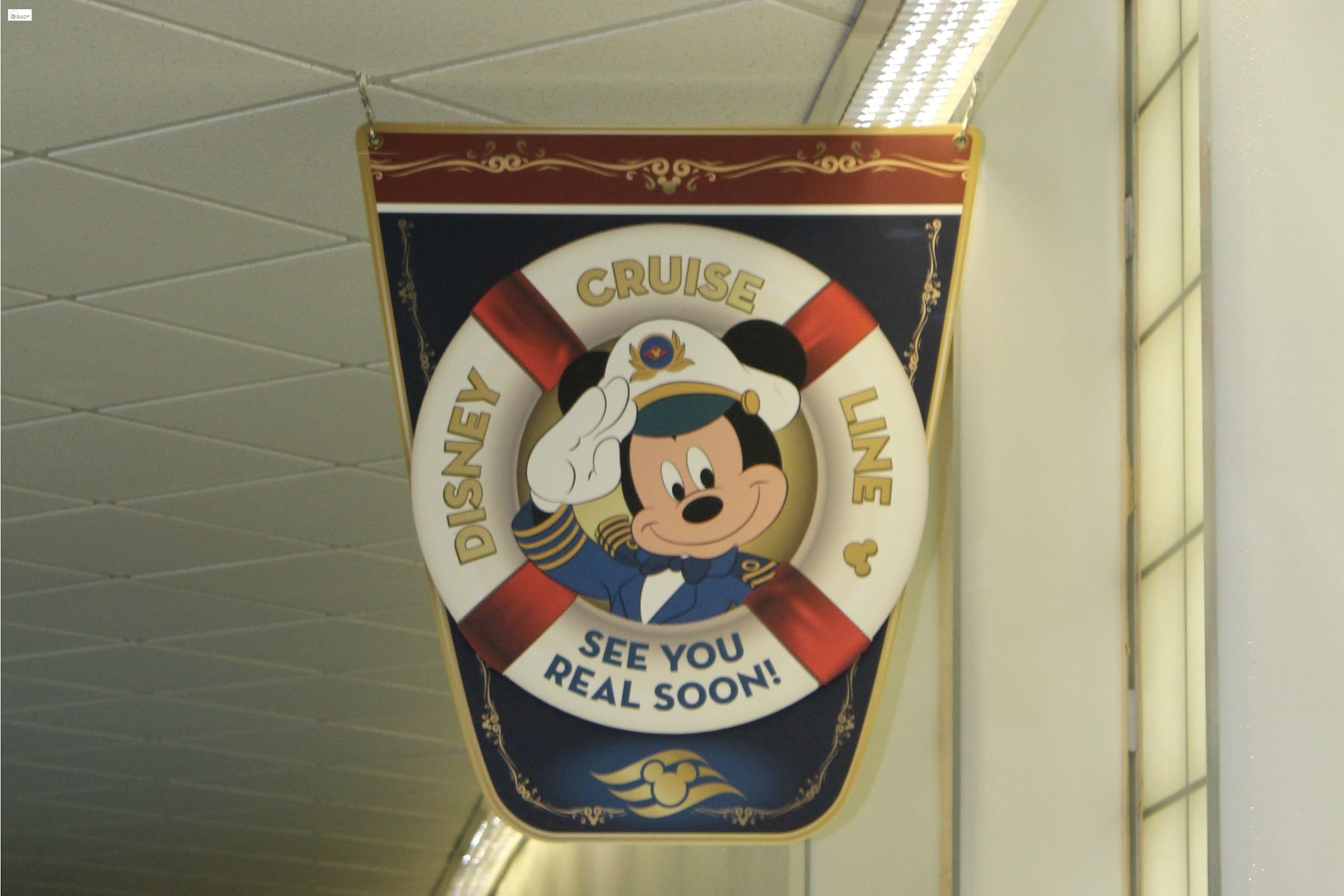 5 must pack items for a disney cruise to the bahamas caravan sonnet