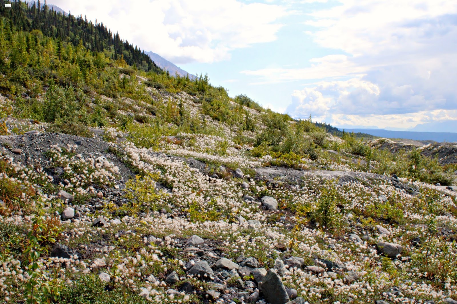 Root Glacier Trail Hike in Kennicott, Alaska Caravan Sonnet Blog
