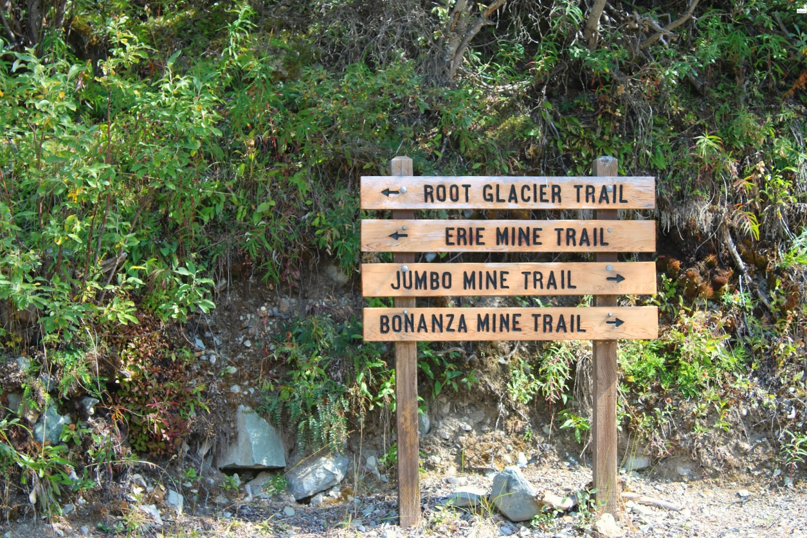 Root Glacier Trail Hike in Kennicott, Alaska Caravan Sonnet Blog