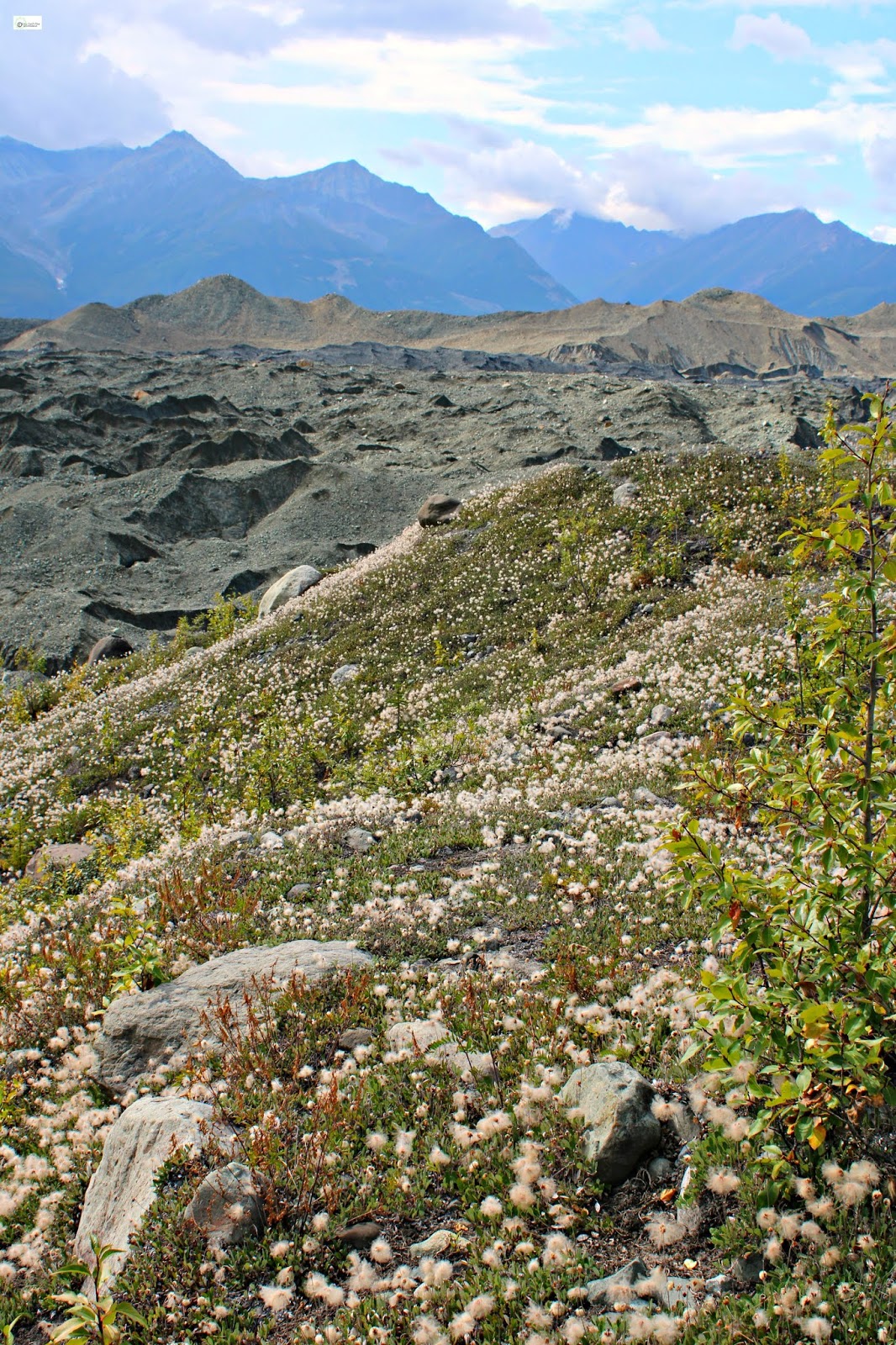 Root Glacier Trail Hike in Kennicott, Alaska Caravan Sonnet Blog