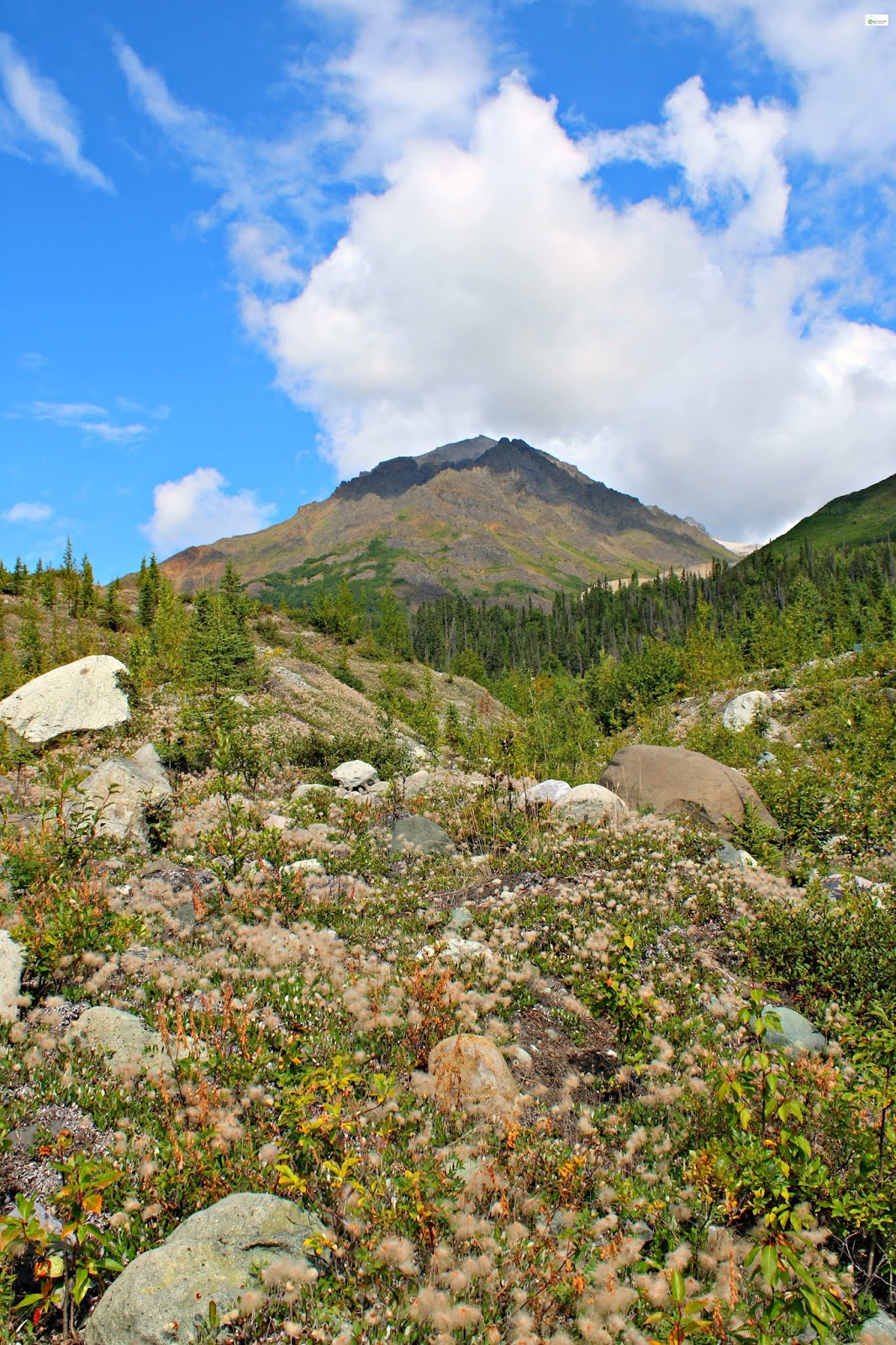 Root Glacier Trail Hike in Kennicott, Alaska Caravan Sonnet Blog