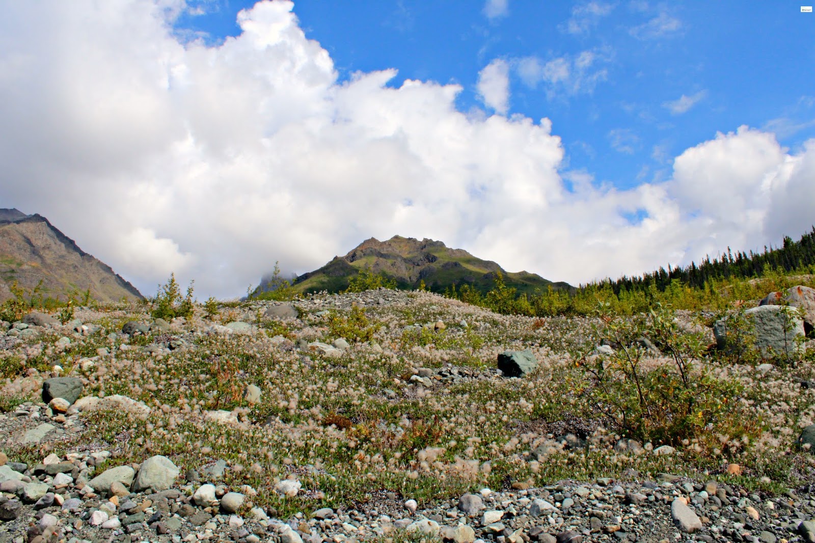 Root Glacier Trail Hike in Kennicott, Alaska Caravan Sonnet Blog