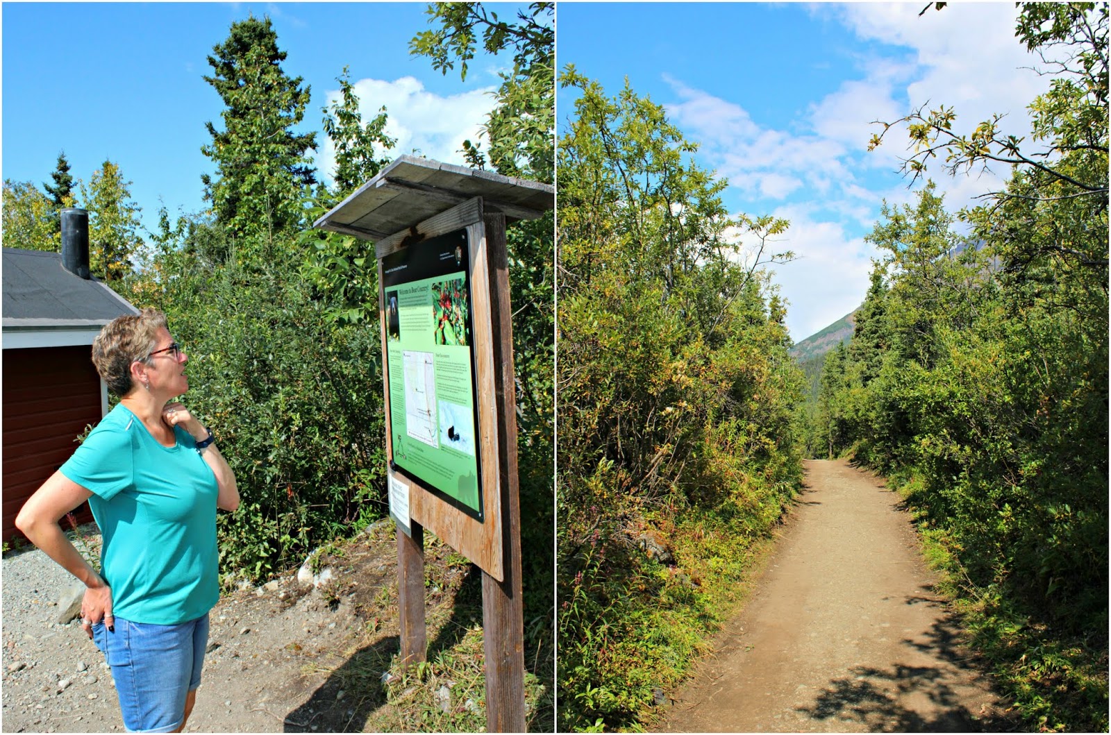 Root Glacier Trail Hike in Kennicott, Alaska Caravan Sonnet Blog