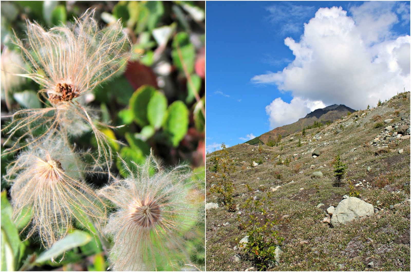 Root Glacier Trail Hike in Kennicott, Alaska Caravan Sonnet Blog