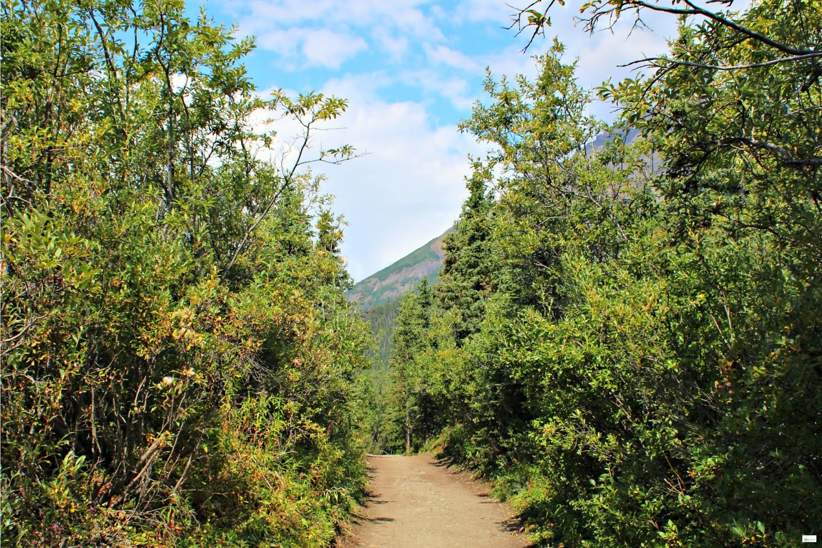Root Glacier Trail Hike in Kennicott, Alaska Caravan Sonnet Blog