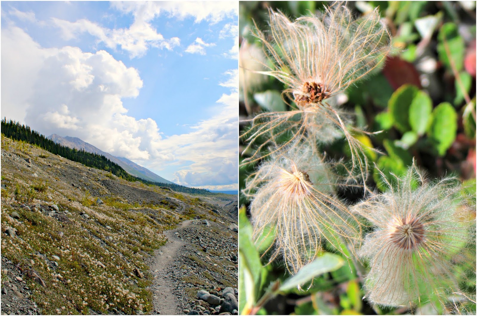 Root Glacier Trail Hike in Kennicott, Alaska Caravan Sonnet Blog
