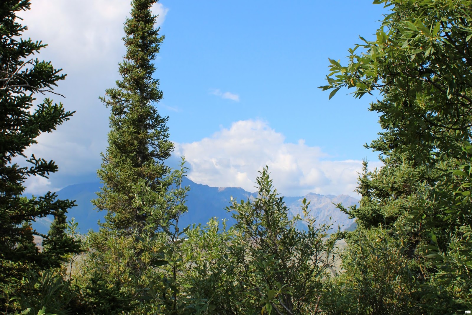 Root Glacier Trail Hike in Kennicott, Alaska Caravan Sonnet Blog