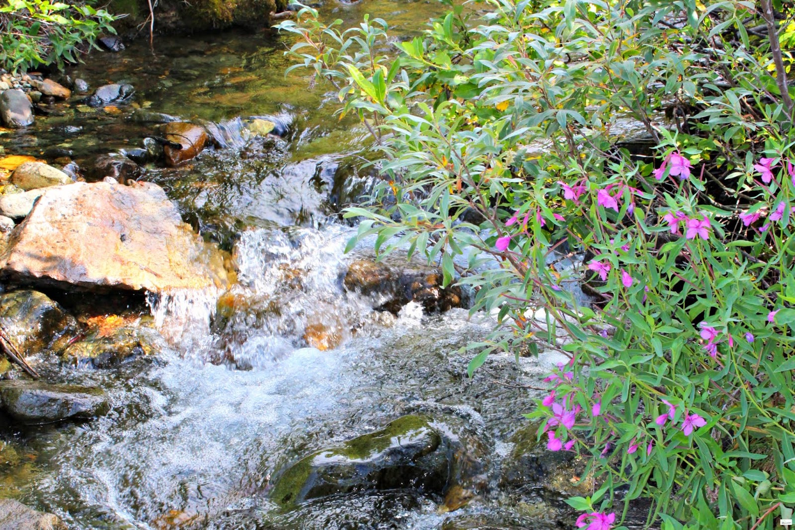Root Glacier Trail Hike in Kennicott, Alaska Caravan Sonnet Blog