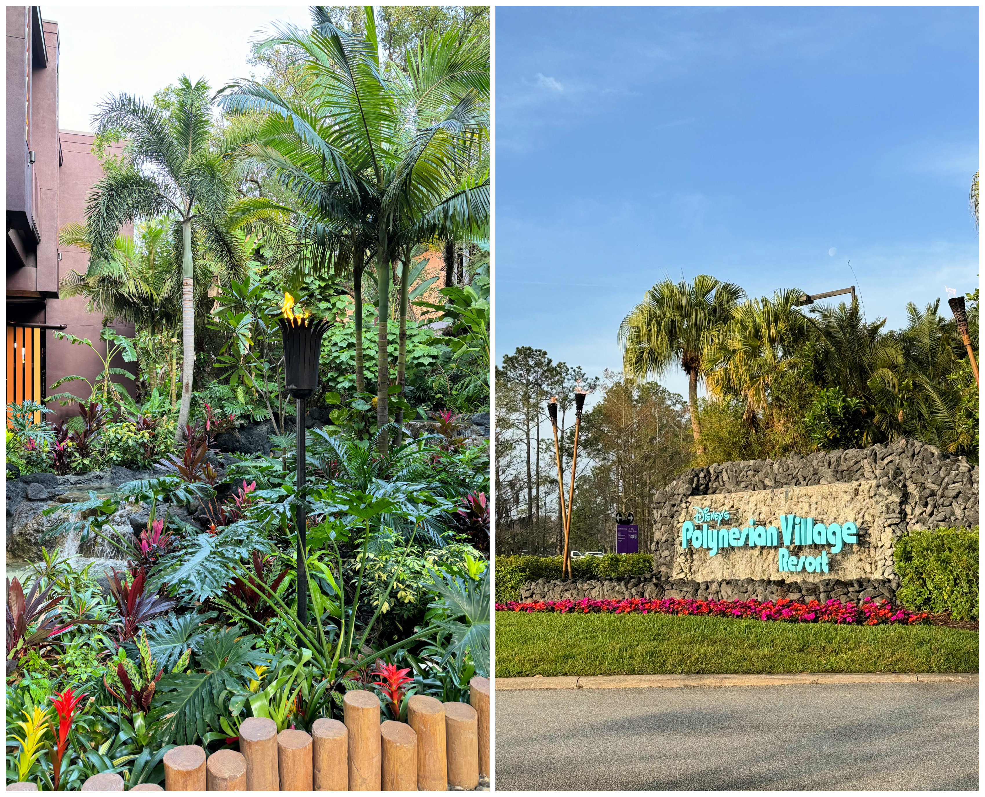 kona cafe // polynesian village resort caravan sonnet- disney world resort