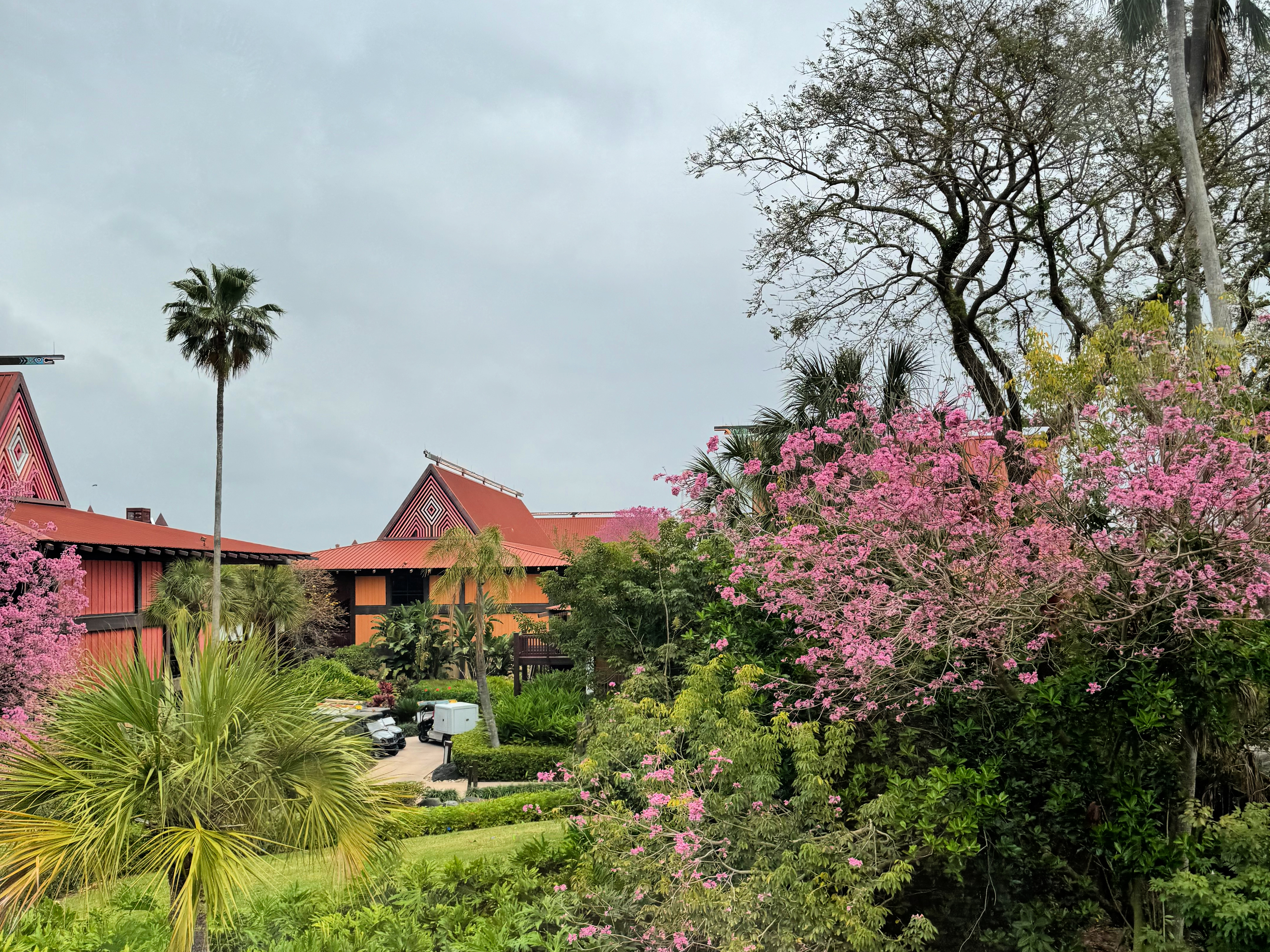 kona cafe // polynesian village resort caravan sonnet- disney world resort