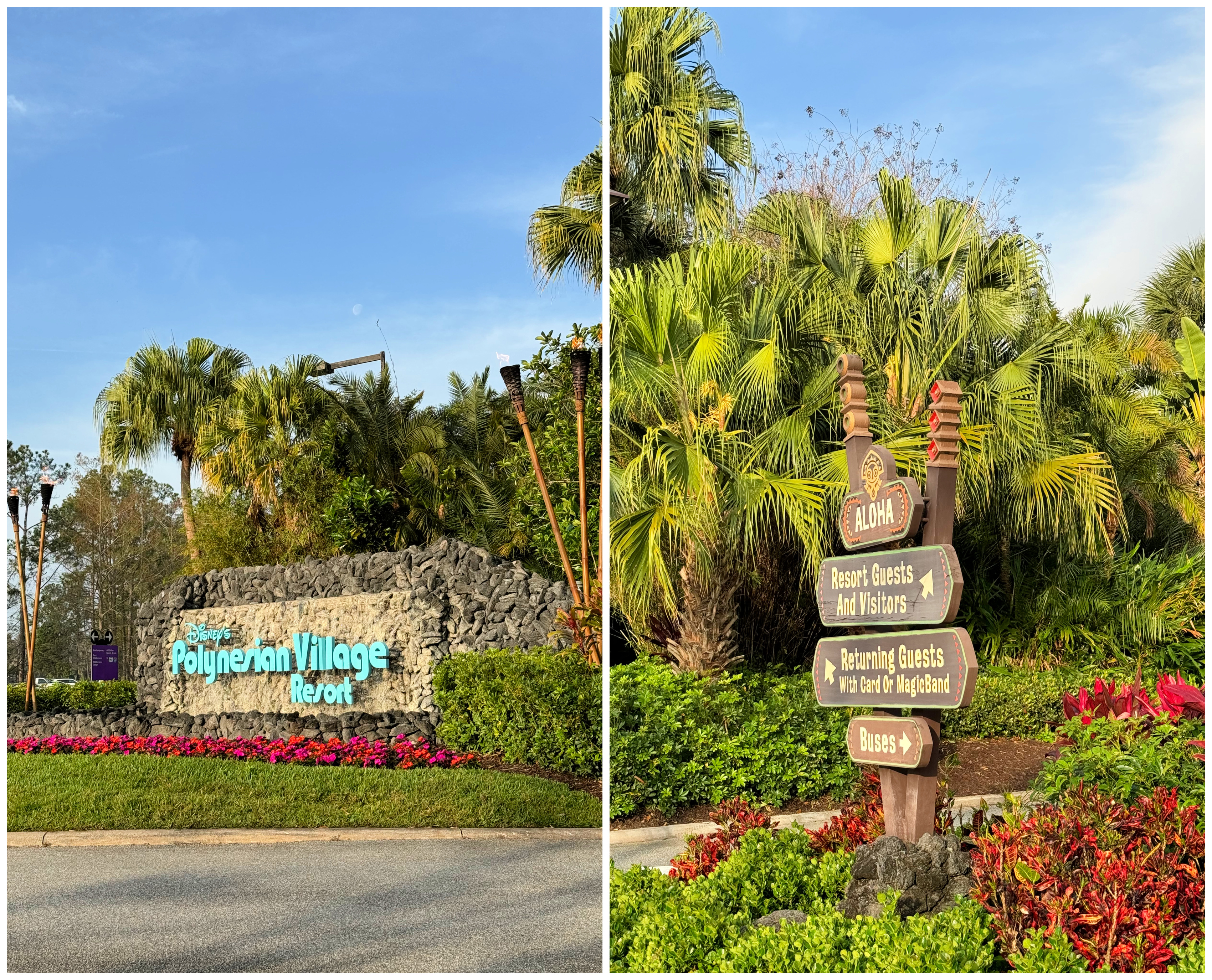 kona cafe // polynesian village resort caravan sonnet- disney world resort