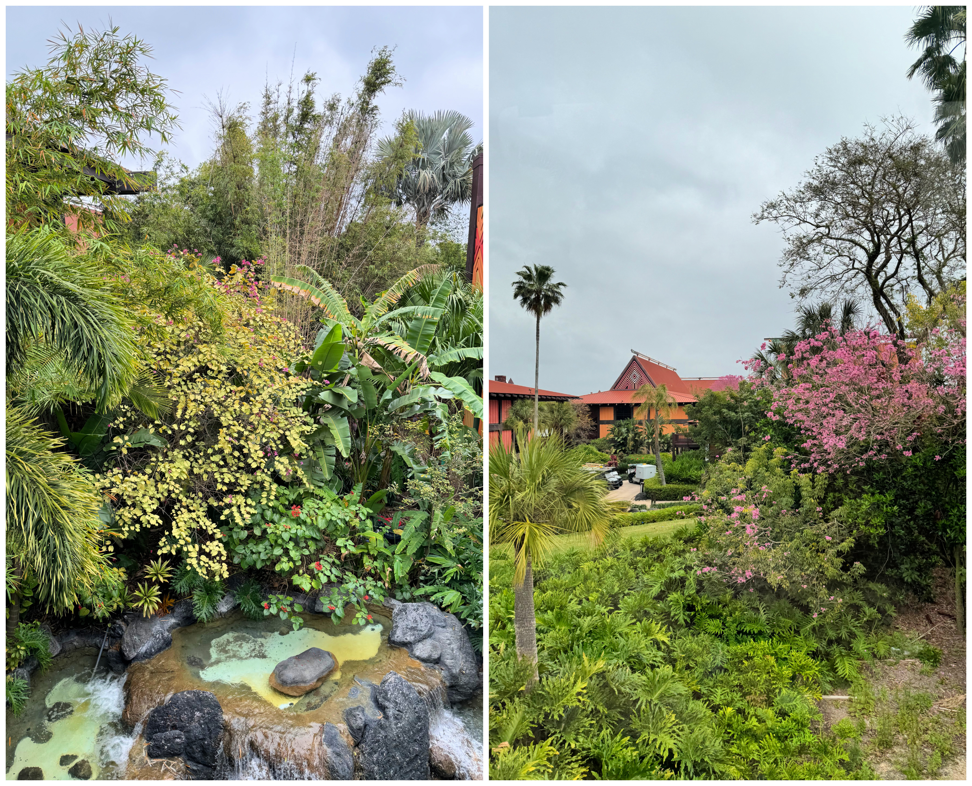 kona cafe // polynesian village resort caravan sonnet- disney world resort