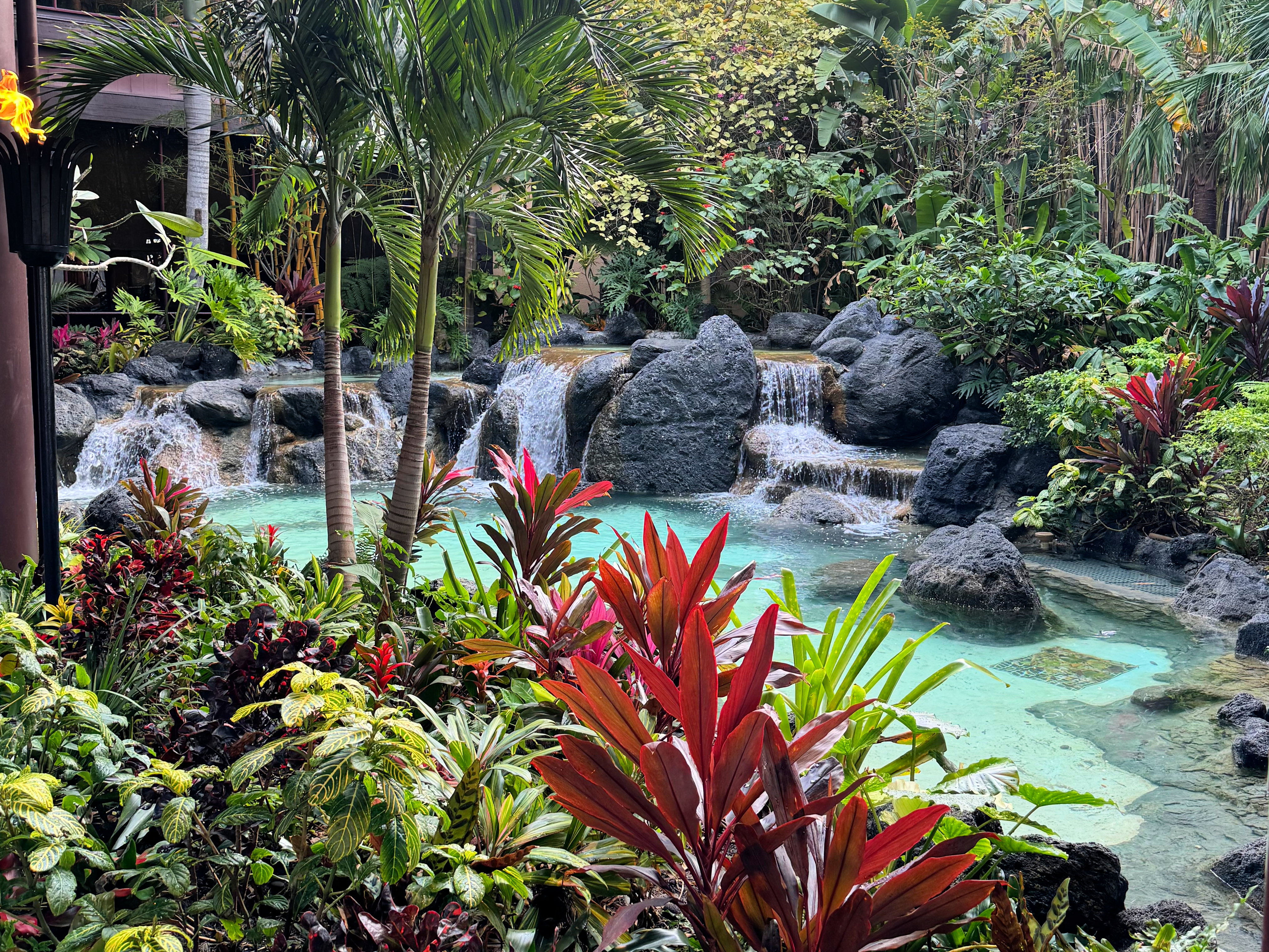 kona cafe // polynesian village resort caravan sonnet- disney world resort